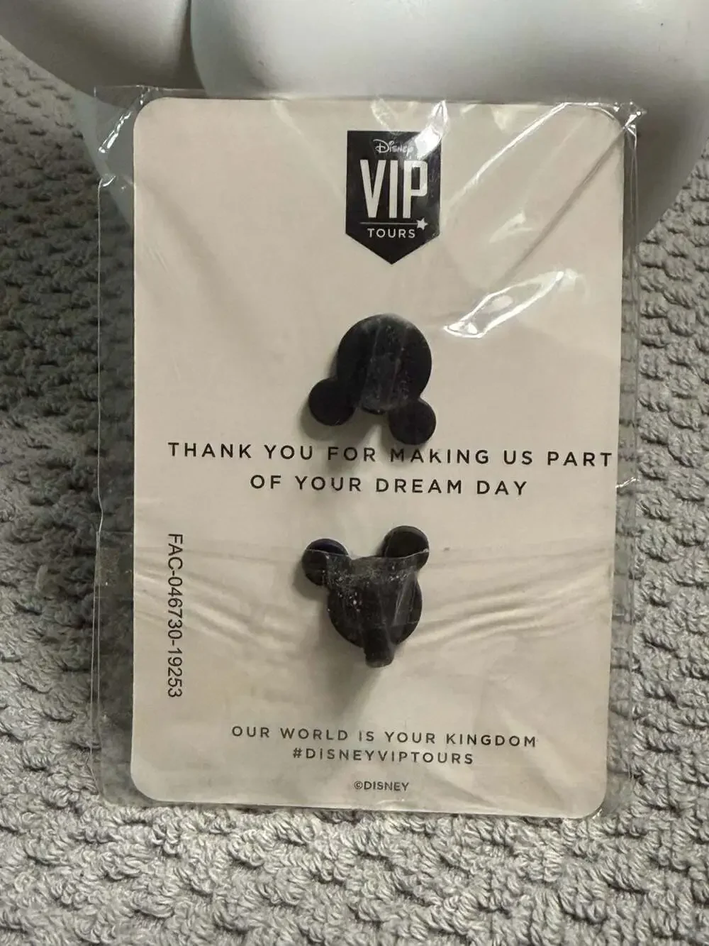 Disney VIP Tours Exclusive Private Tour Pin